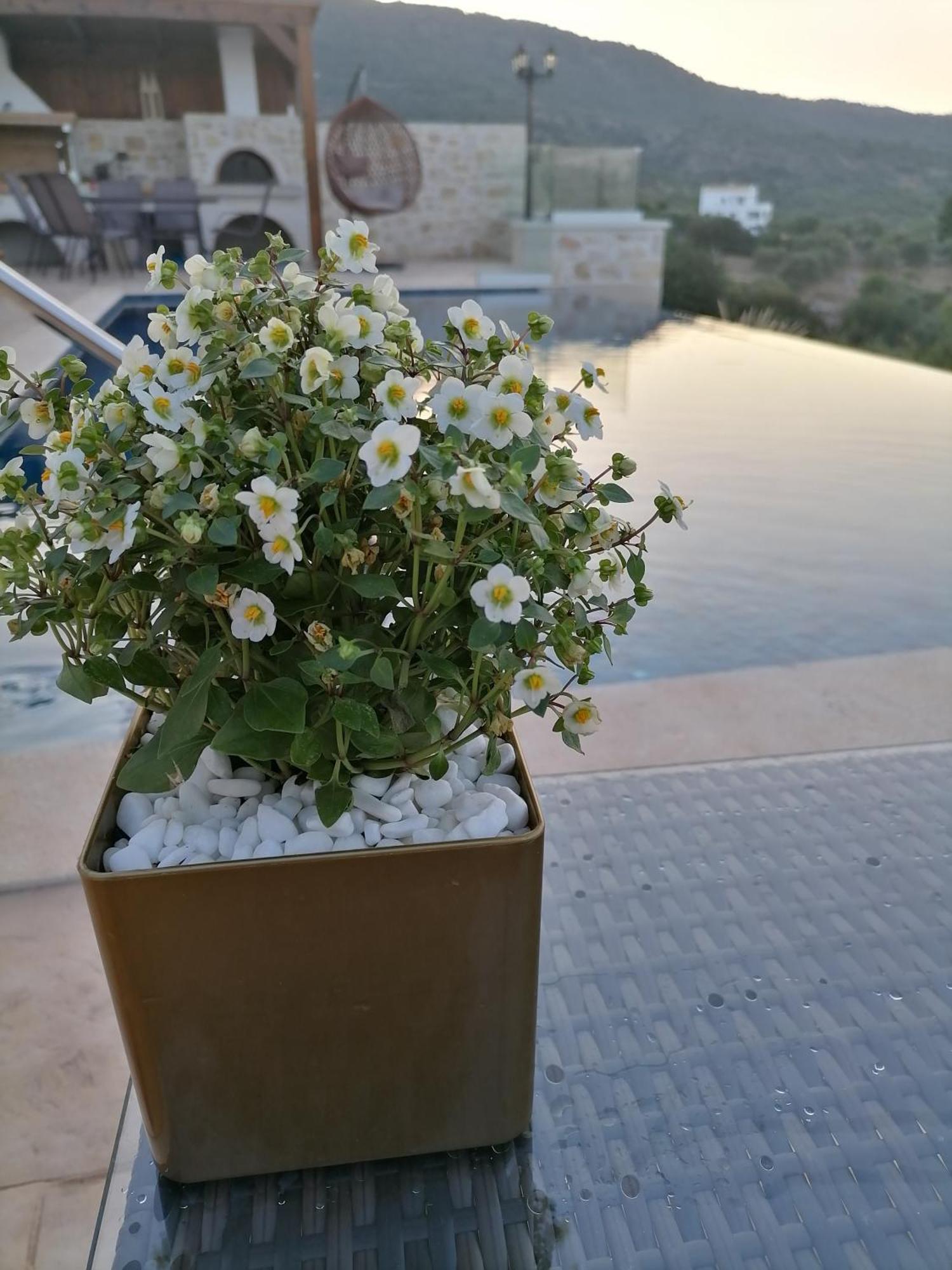 Villa Halepouri Chania  Exteriör bild